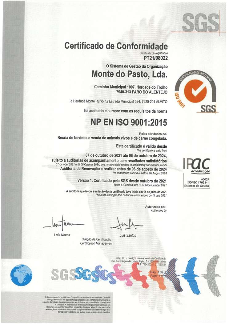 MDP ISO9001