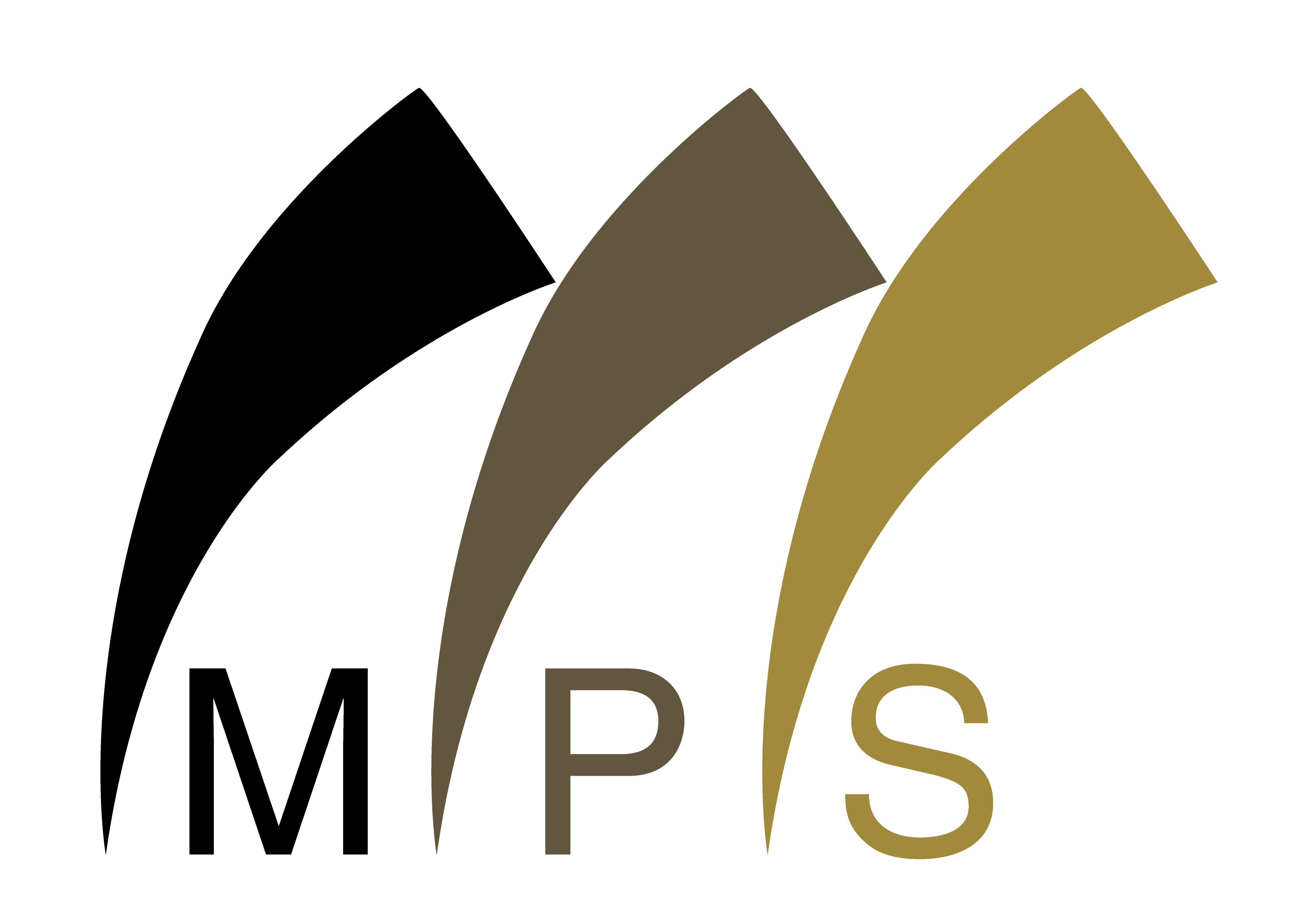 Established Macau Professional Services, Limited