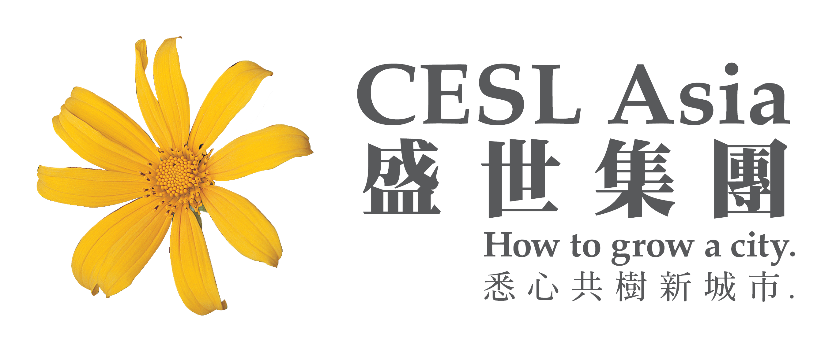 Established CESL Asia – Investment & Services, Limited